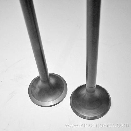 Engine Valves Z170